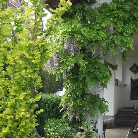Am Goldberg Apartamento Goldbach (Thuringia)