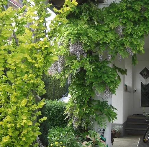 Am Goldberg Appartement Goldbach (Thuringia)